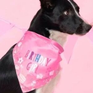 NEW Birthday Girl Dog Bandana